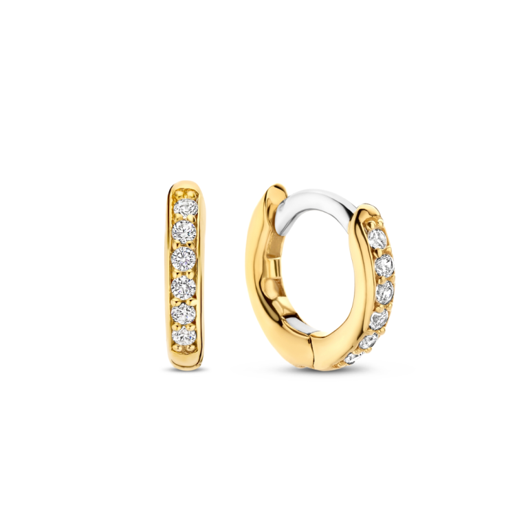 Ti Sento Oorsieraden 7954ZY