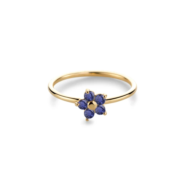 Miss Spring Ring MSR730GG-SA