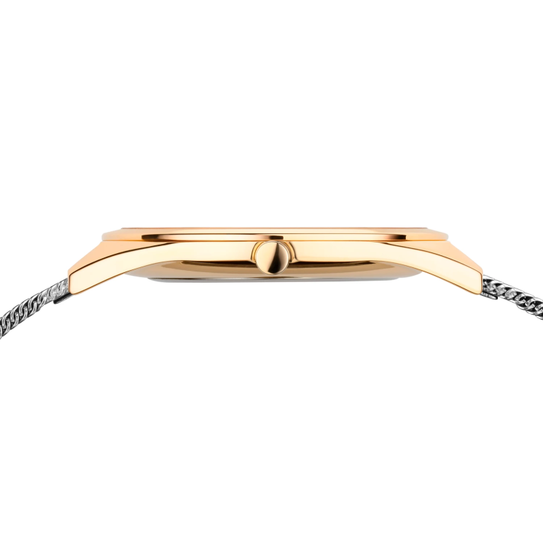 Bering 17031-010